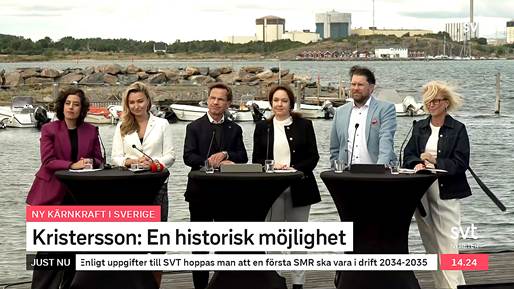 Bild politker