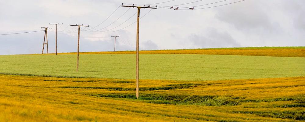 Symbolbild: Creative Commons lic.