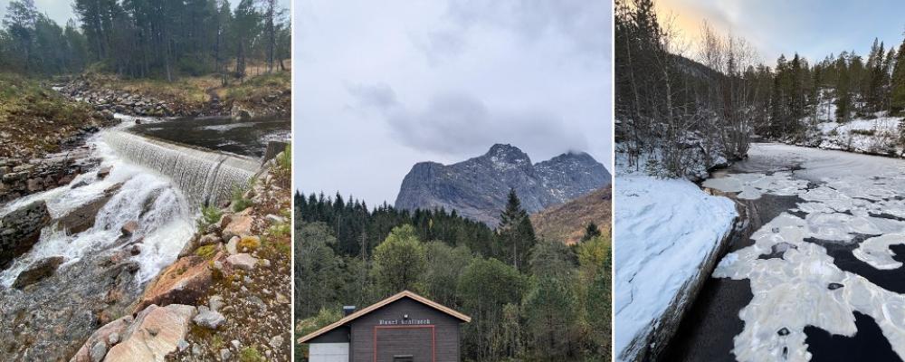 Buset, Breivold, Misfjord. Pressbild: Locus Energy