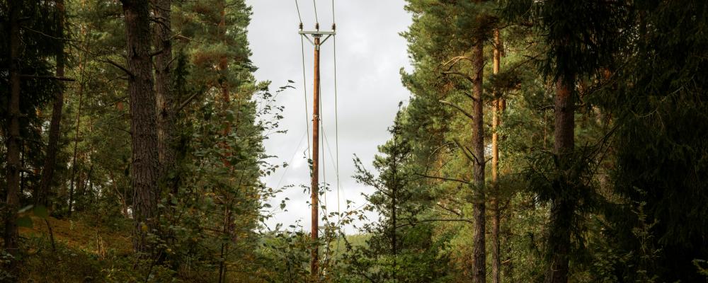 Vaxholm. Foto: Joylynn Goh/Unsplash