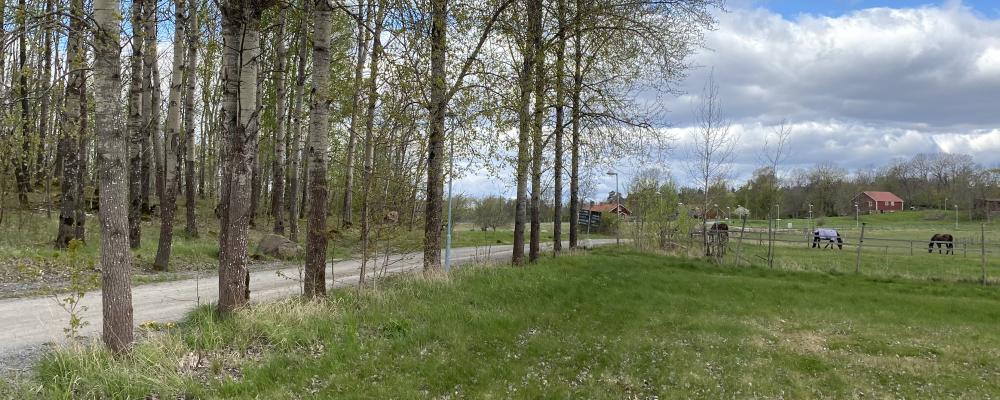 Kabelförbindelsen mellan Kronåsen och Råcksta blir cirka 10 kilometer lång. Foto: Skanska