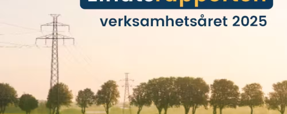 Elnätsrapporten. Pressbild: Kraftringen