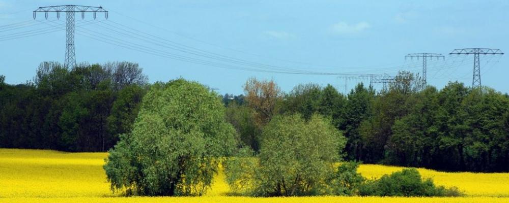 Energiföretagen Sverige tillsammans med Verian visar att allmänheten har ett starkt förtroende för det svenska elnätet. Pressbild: Energiföretagen