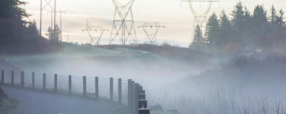 Förslagen syftar till att stärka Energimarknadsinspektionens oberoende vid fastställandet av nätavgifterna, i enlighet med EU-rättens krav. Foto: Peter Geo/Unsplash