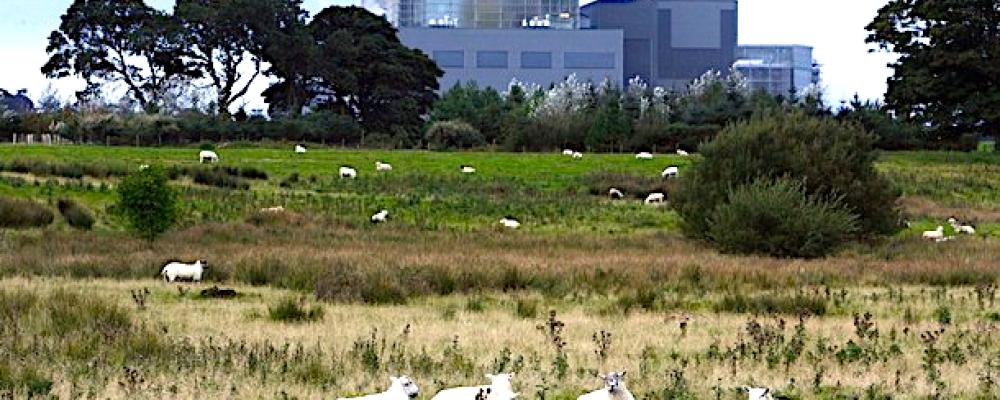 Hunterston kärnkraftverk i North Ayrshire är ett av flera skotska kärnkraftverk som lagts ned. Labour vill nu öppna för nya satsningar. Foto: Wikipedia Commons Lic. Kredit: Jonathonchampton