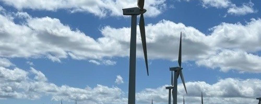 Foto John Hardwick / Conventus