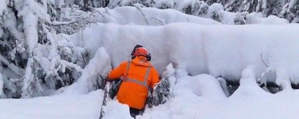 Bild på man som snöröjer elledning. Bild: Svenska kraftnät