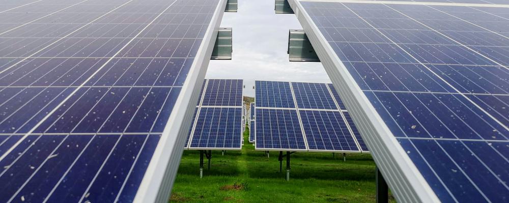 Solpark. Foto: Mariana Proença / Unsplash