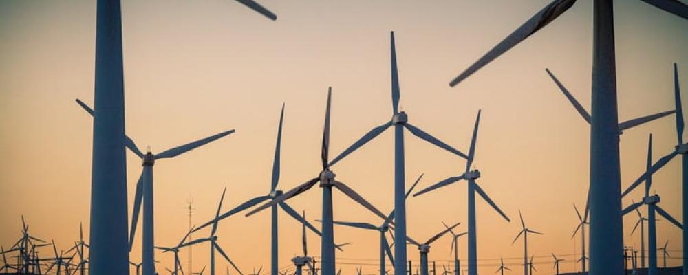 En tät "skog" av vindkraftsverk i USA. Kanske något för finsk-ryska gränsen? Symbolbild. Foto: North American Windpower