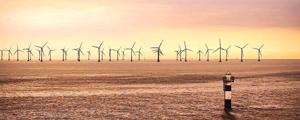 Så kan det se ut om några år vid Skagerrak. Foto: Symbolbild, Creative Commons Lic, kredit: PTNorbert