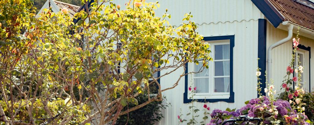 Småhus. Foto: Patrick Federi / Unsplash