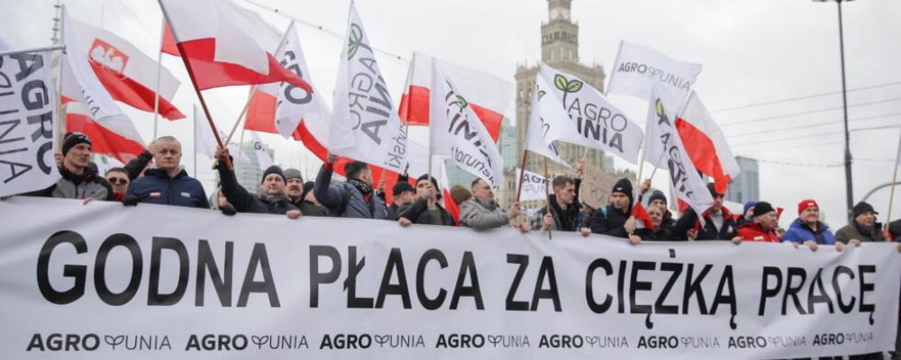 Tusentals polska bönder och andra demonstranter gav sig ut på gatorna i Warszawa för att protestera mot EU:s gröna giv.
Bild: Skärmdump