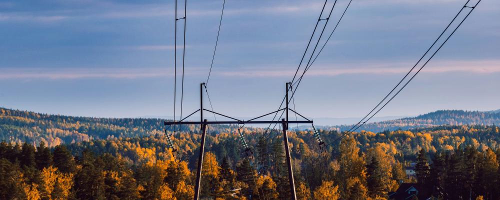 Kraftledningar i Finland Foto: J-V Hintikka/Unsplash