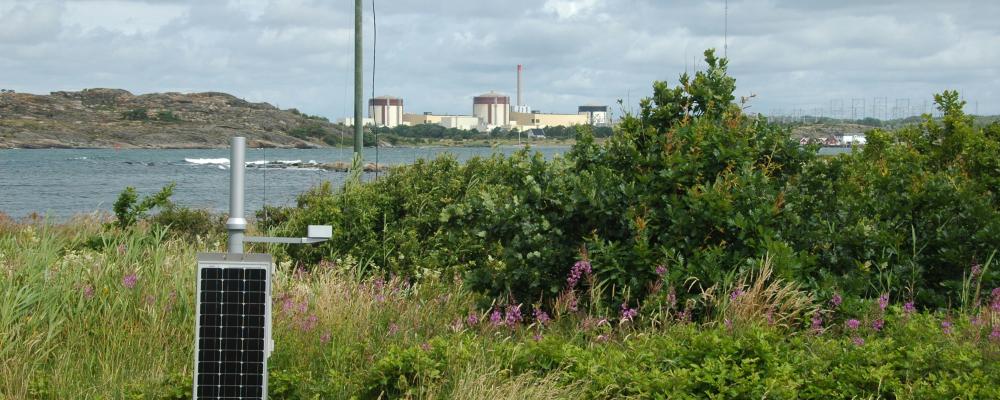 Ringhals sett från Krogstadsudde. Foto: Thomas Lohmann /Unsplash