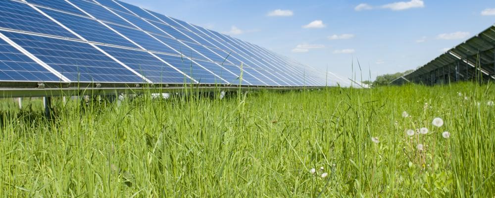 Solpark. Pressbild: Downing Renewable Developments