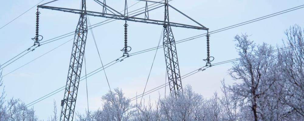 Kraftledning. Foto: Tomas Ärlemo