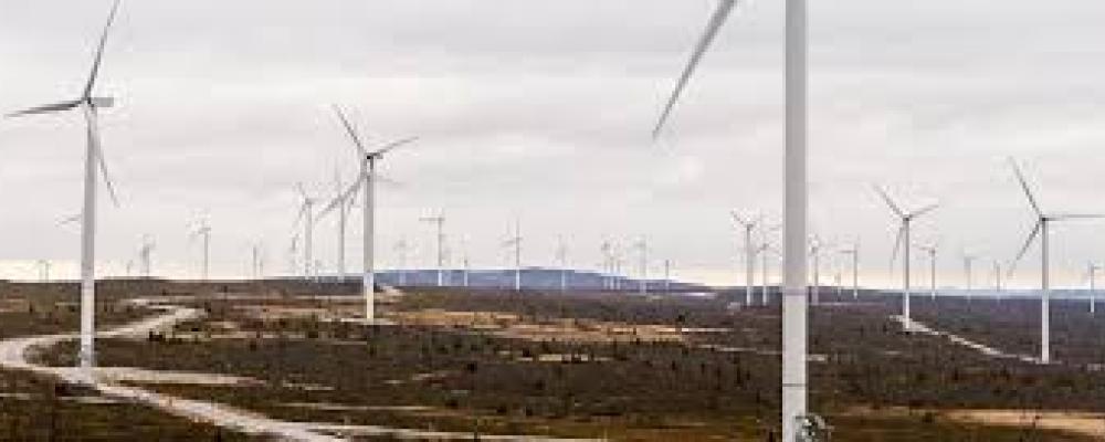 Vindkraftparken vid Blaikfjället i Västerbotten är en av Skellefteå Krafts största vindkraftsinvesteringar. Foto: Skellefteå Kraft