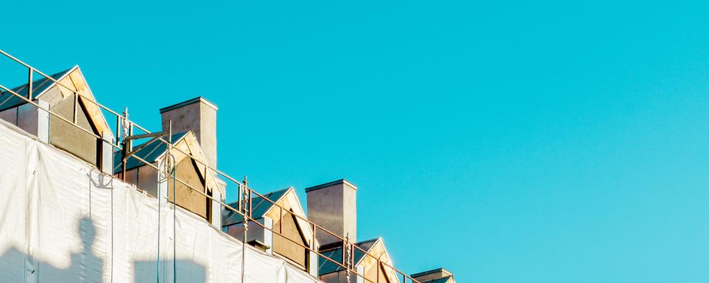 Hustak. Foto: Vlado Paunovic / Unsplash