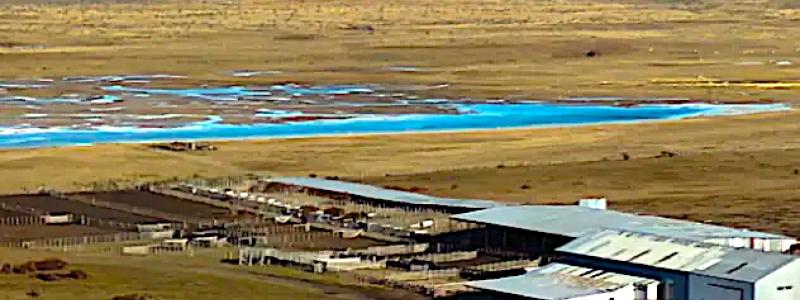 En datorgenererad visualisering av det nedlagda Energia Verde Austral-projektet i Cabo Negro. Bild: EDF