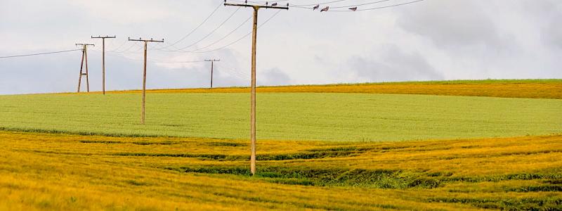 Symbolbild: Creative Commons lic.