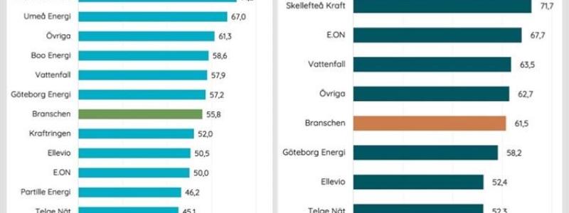 Vattenfall Eldistributions kundnöjdhetsindex är över genomsnittet och ligger på 57,9 för privatkunder och 63,5 för företagskunder.