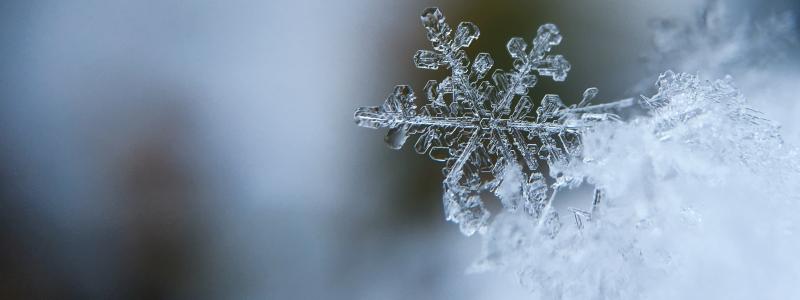 Foto: Aaron Burden/Unsplash