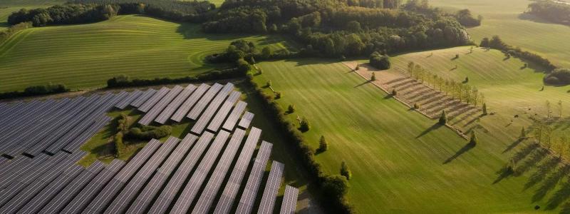 Better Energys vindpark i närheten av danska staden Svendborg. Foto: Better Energy