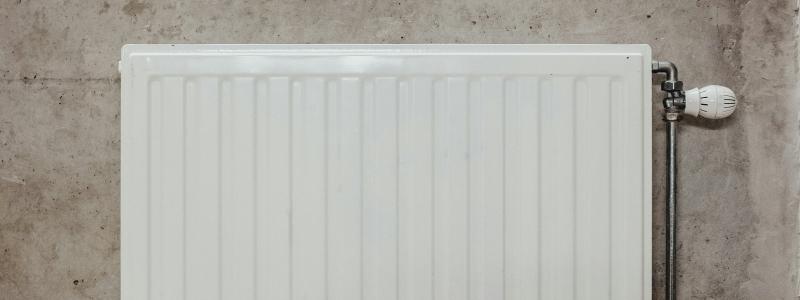 Element. Foto: Bernard Hermant / Unsplash
