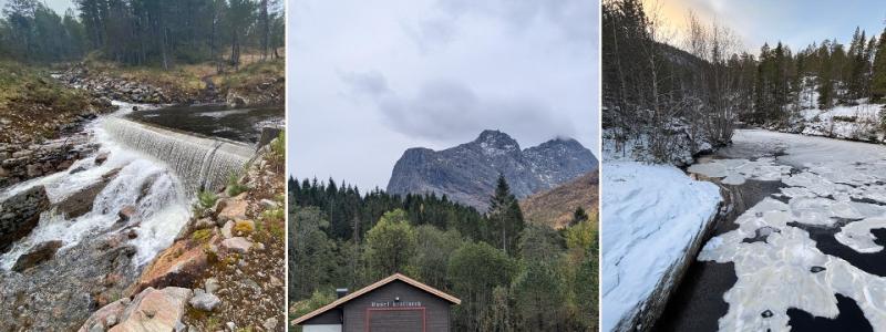 Buset, Breivold, Misfjord. Pressbild: Locus Energy