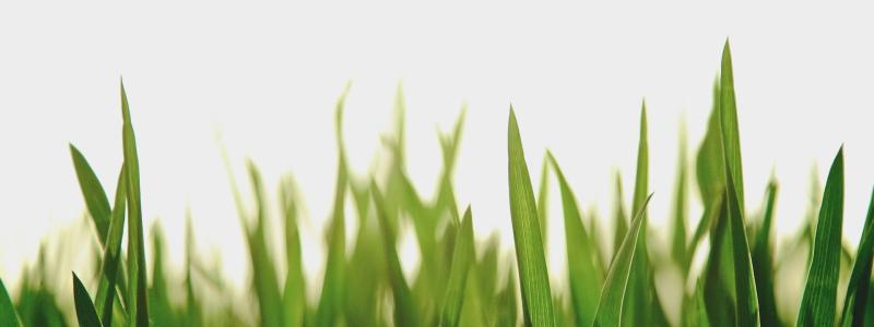 Foto: Chang Qing/Unsplash