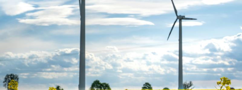 Vindkraftverk i rapsfält. Foto: Damian Barczak / Unsplash