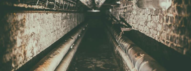 Foto: Denny Müller / Unsplash