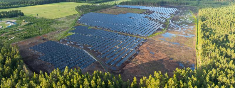 Foto från Henja, Aneos befintliga solkraftverk i Sverige. Foto: Sofia Lewerin.