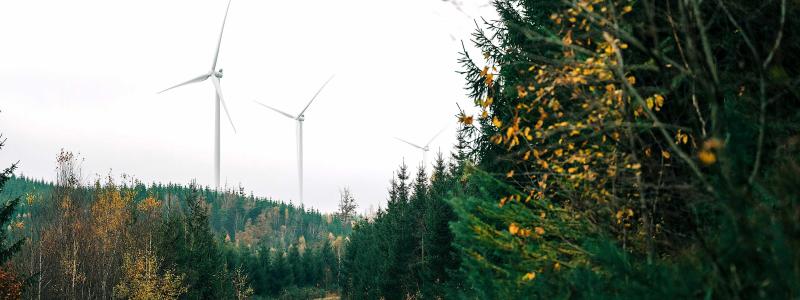 Projektutvecklaren Eolus redovisar ökad förlust i tredje kvartalet trots kraftig omsättningsökning. Foto: Eolus Ab