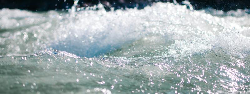 Foto:  Ezra Jeffrey-Comeau / Unsplash