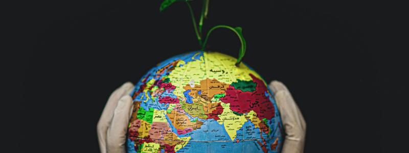 Foto:  Fateme Alaei / Unsplash