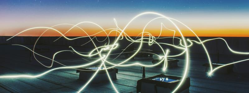 Foto: Federico Beccari / Unsplash