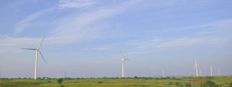 Vindkraftsfält. Pressbild: gabriel xu / Unsplash