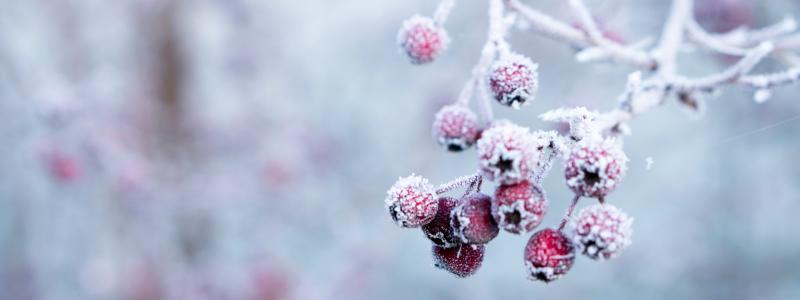 Foto: Galina N/Unsplash