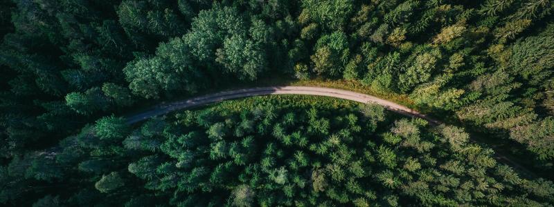 Foto: Geranimo/Unsplash