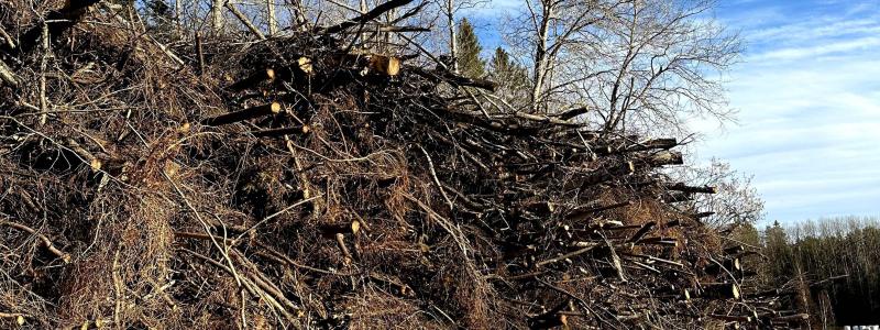 Regeringen föreslår nu en utredning kring de systemnyttor som kraft- och fjärrvärmen tillför elsystemet. Foto: Joline Ekman