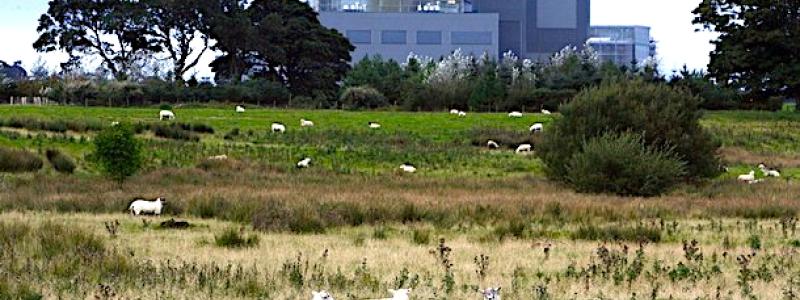 Hunterston kärnkraftverk i North Ayrshire är ett av flera skotska kärnkraftverk som lagts ned. Labour vill nu öppna för nya satsningar. Foto: Wikipedia Commons Lic. Kredit: Jonathonchampton
