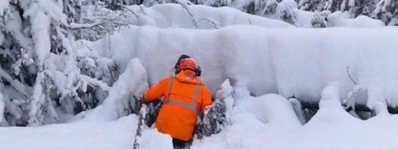 Bild på man som snöröjer elledning. Bild: Svenska kraftnät