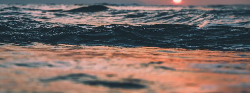 Foto: Jp Fischman/Unsplash