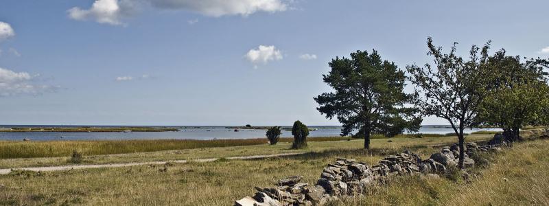 Foto: Berti Redhill.
