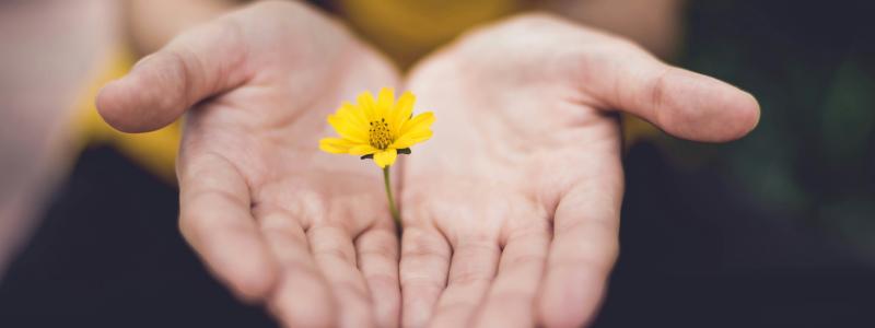 Foto: Lina Trochez / Unsplash