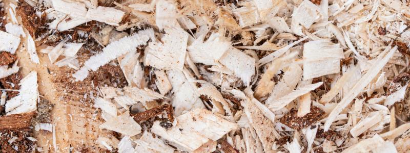 Sågspån. Foto:  Marek Studzinski / Unsplash