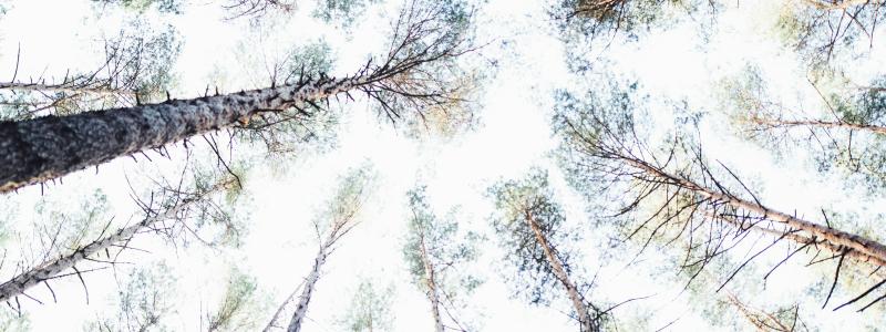 Foto: Markus Spiske / Unsplash
