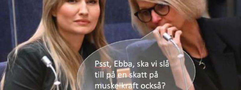 Energiskatteöverläggningar i riksdagen.
