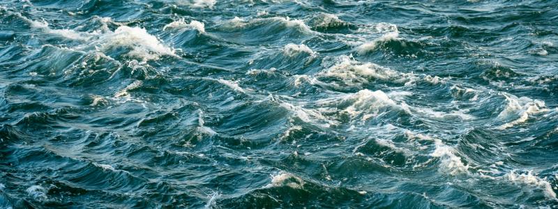 Foto:  Nick Fewings / Unsplash